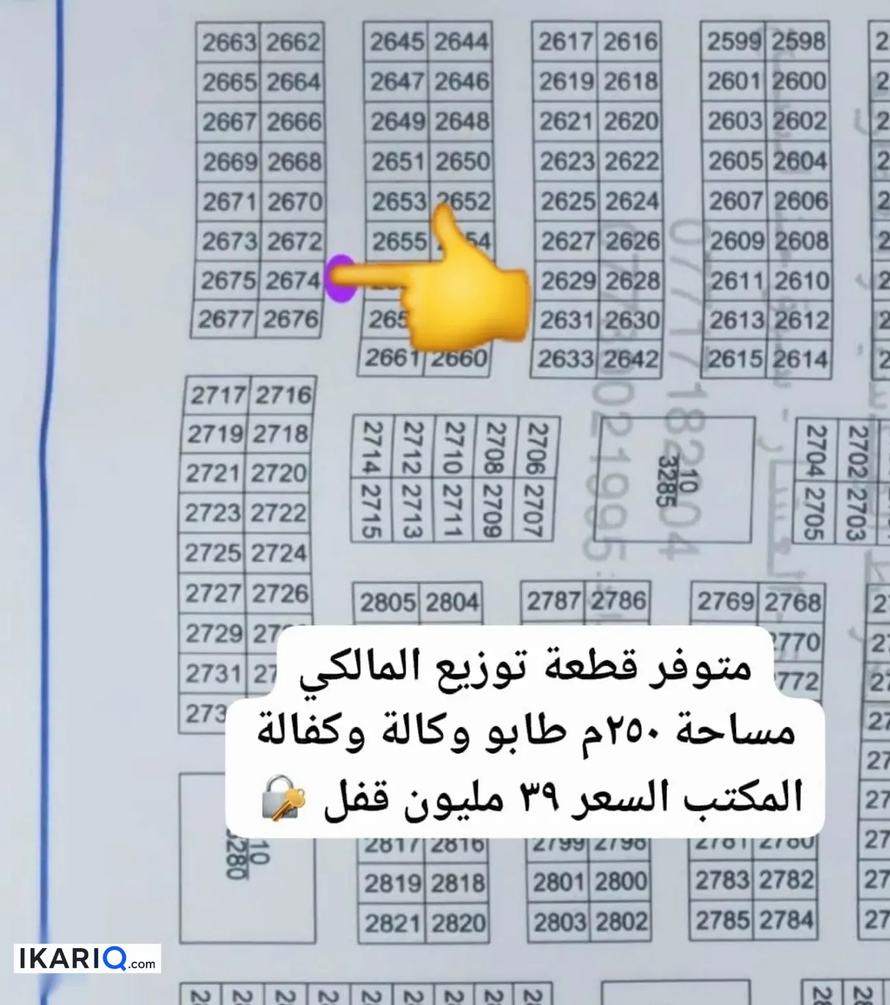 أرض للبيع في التنومة - 250 م² / 50,000,000 IQD — صورة 14