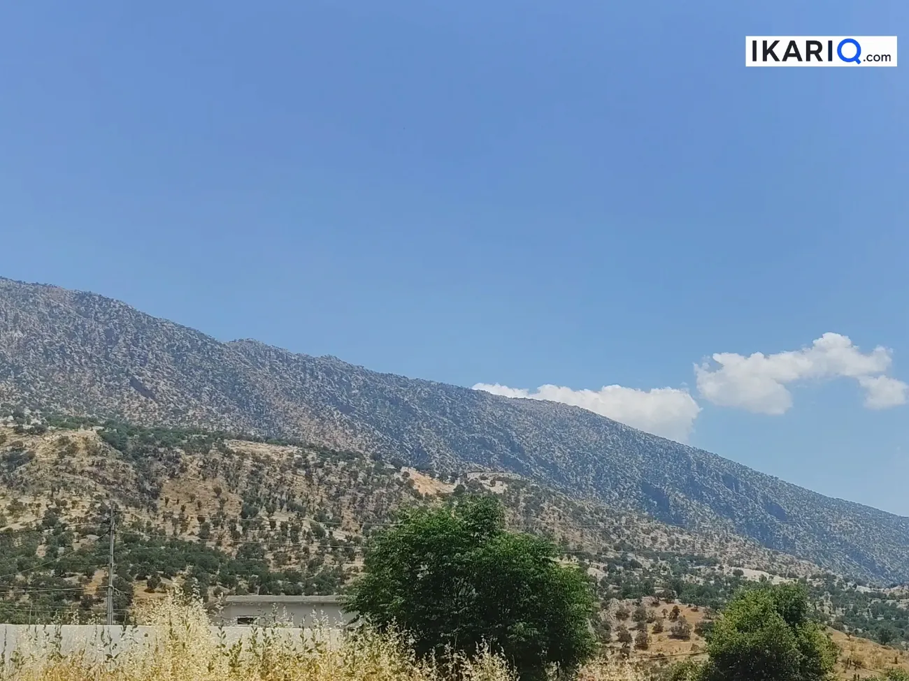 أرض للبيع في حي المعامل - 1750 م² / 80,000,000 IQD