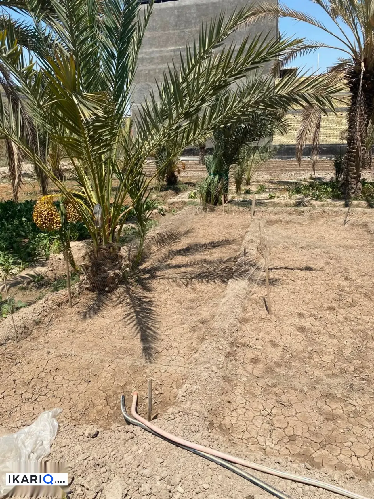أرض للبيع في الحكيمية - 294 م² / 550,000,000 IQD — صورة 3