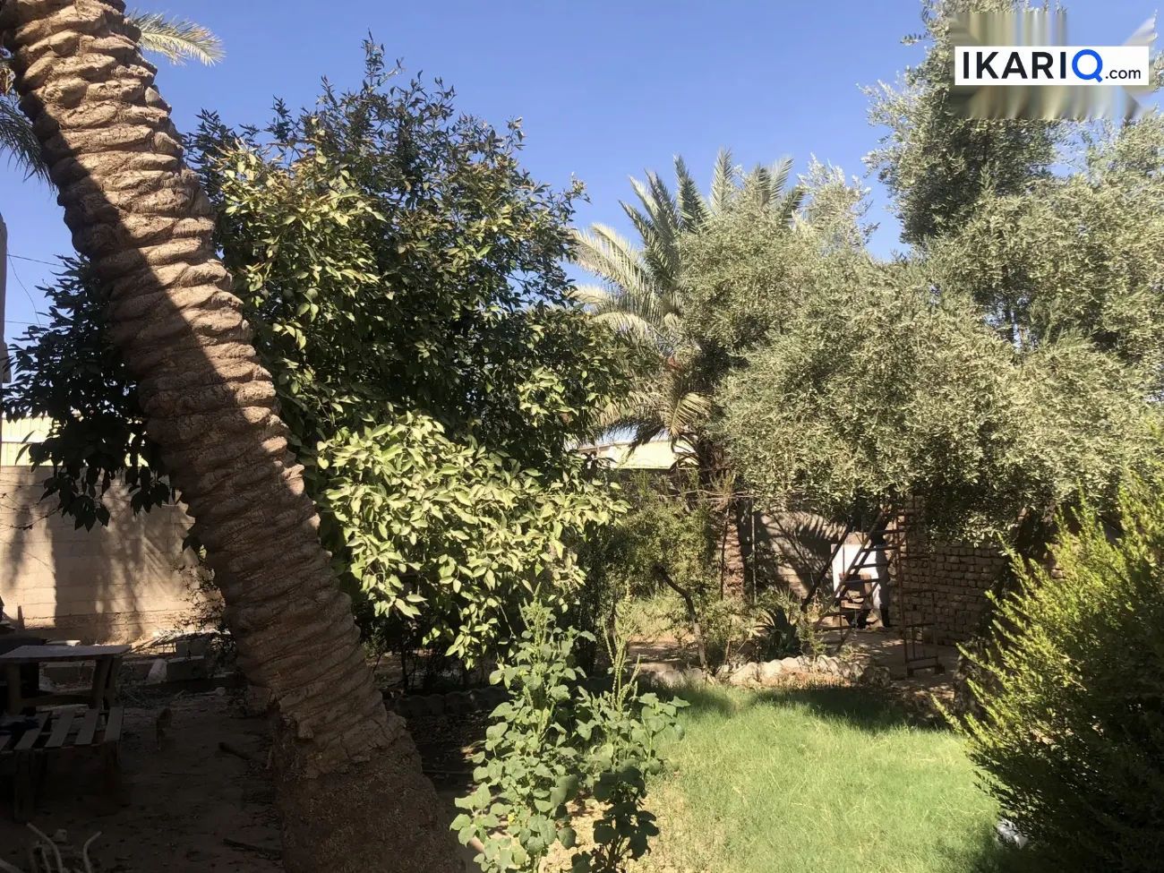 دار للبيع في خان بني سعد - 600 م² / 600,000,000 IQD — صورة 3