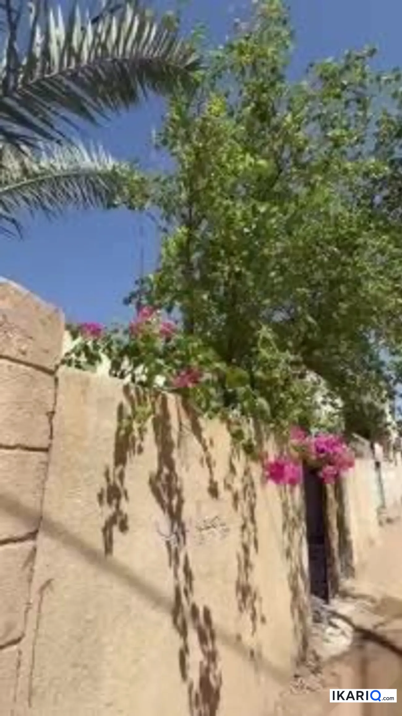 دار للبيع في التنومة - 150 م² / 8,500,000 IQD — صورة 3