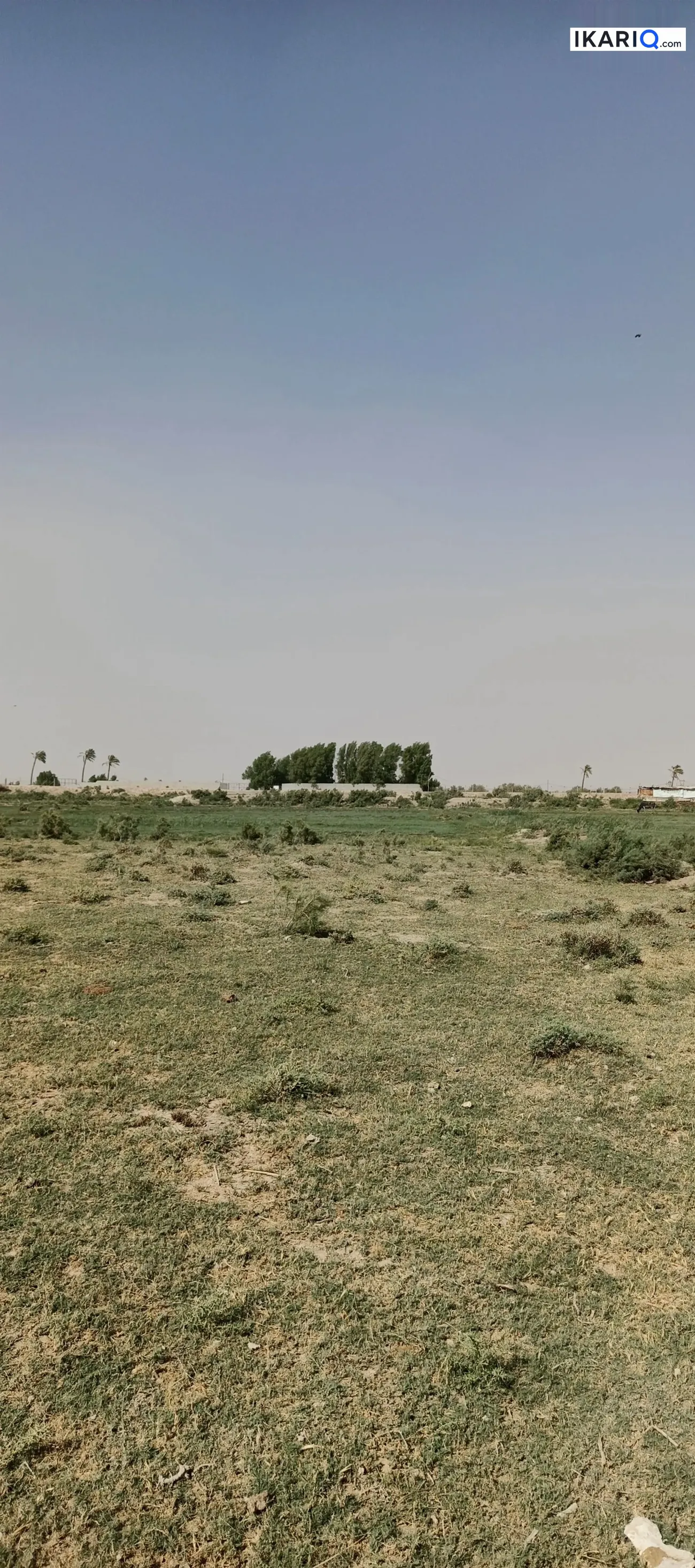 أرض للبيع في النشوة - 250,000,000 IQD — صورة 12