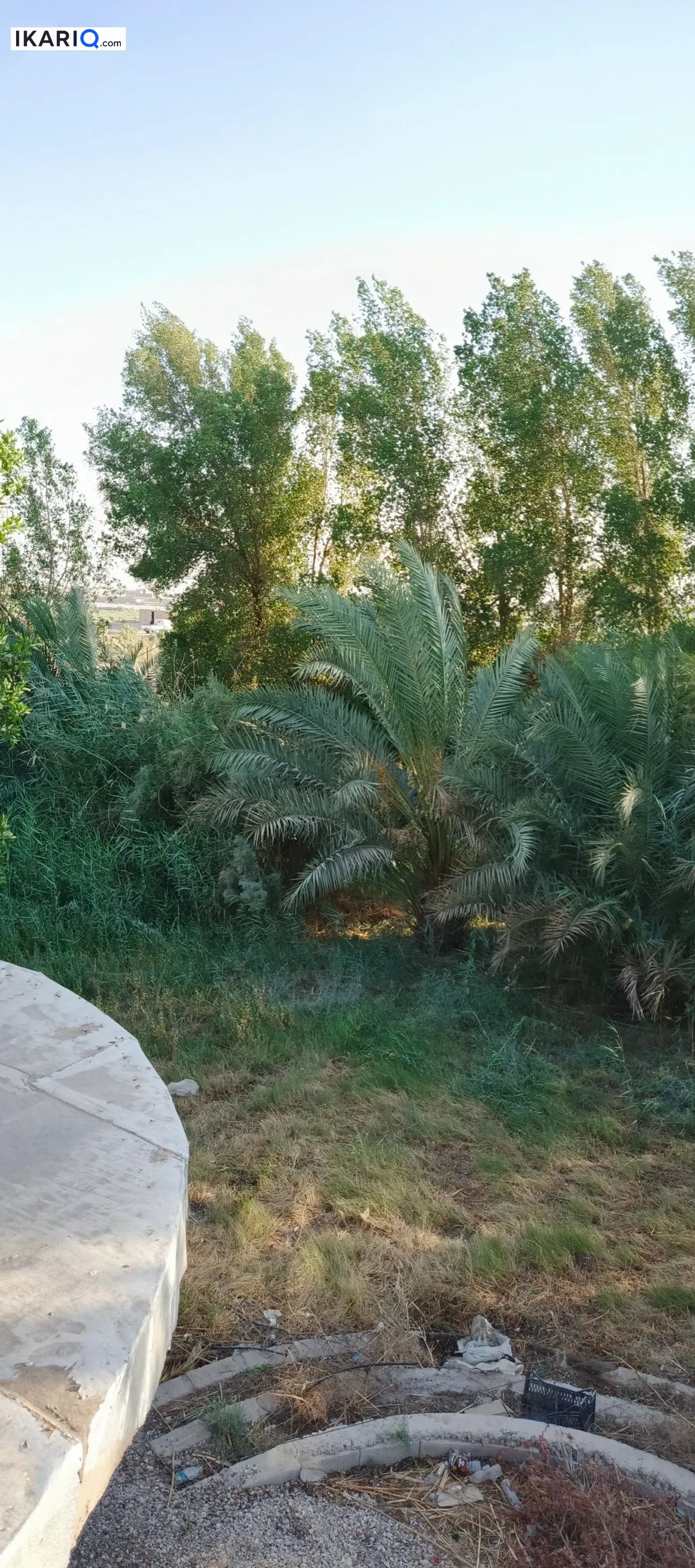 أرض للبيع في النشوة - 250,000,000 IQD — صورة 6