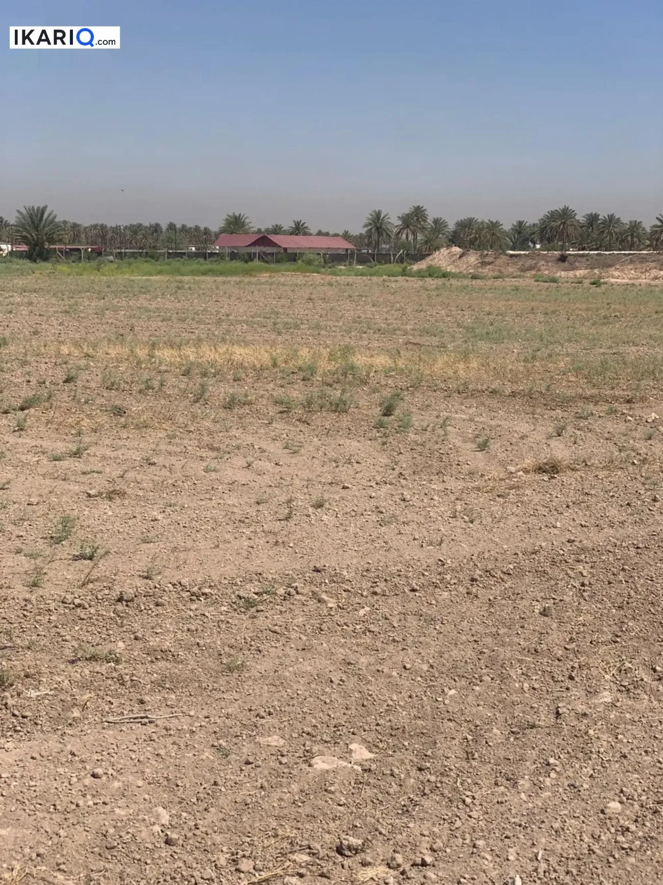 أرض للبيع في المحمودية - 10000 م² / 75,000,000 IQD — صورة 4