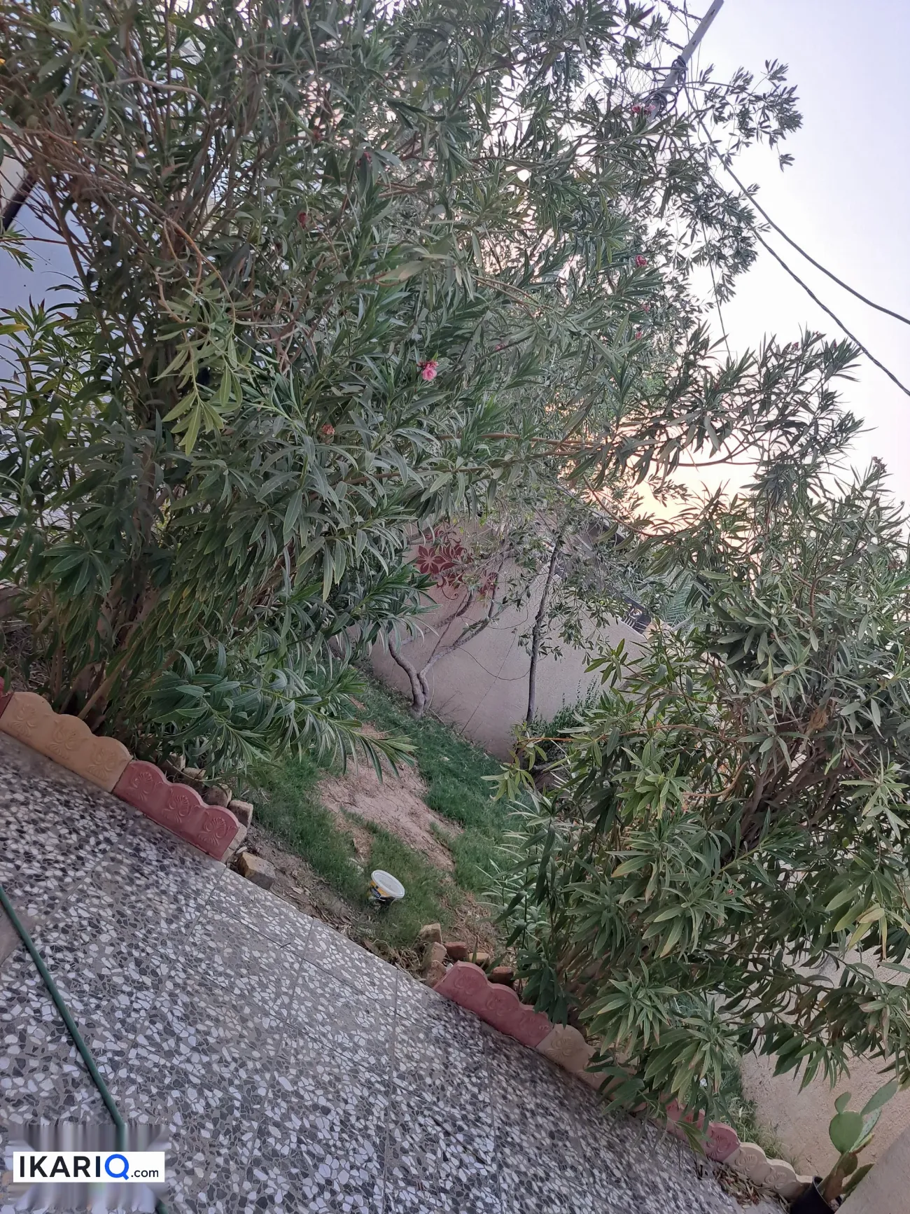 دار للبيع في أبو الخصيب - 360 م² / 85,000,000 IQD — صورة 8