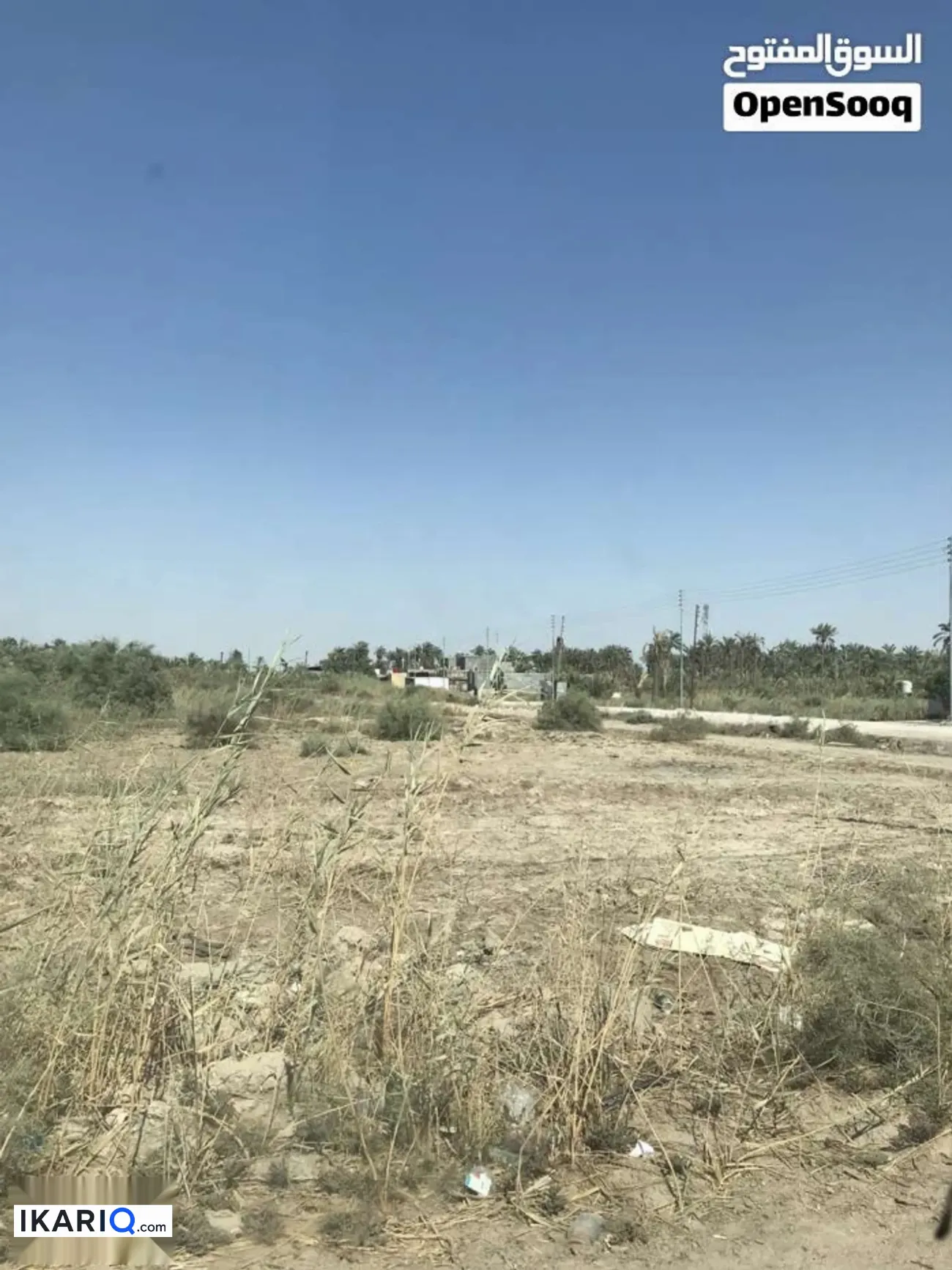 أرض للبيع في الجزيره - 1260 م² / 175,000,000 IQD — صورة 3