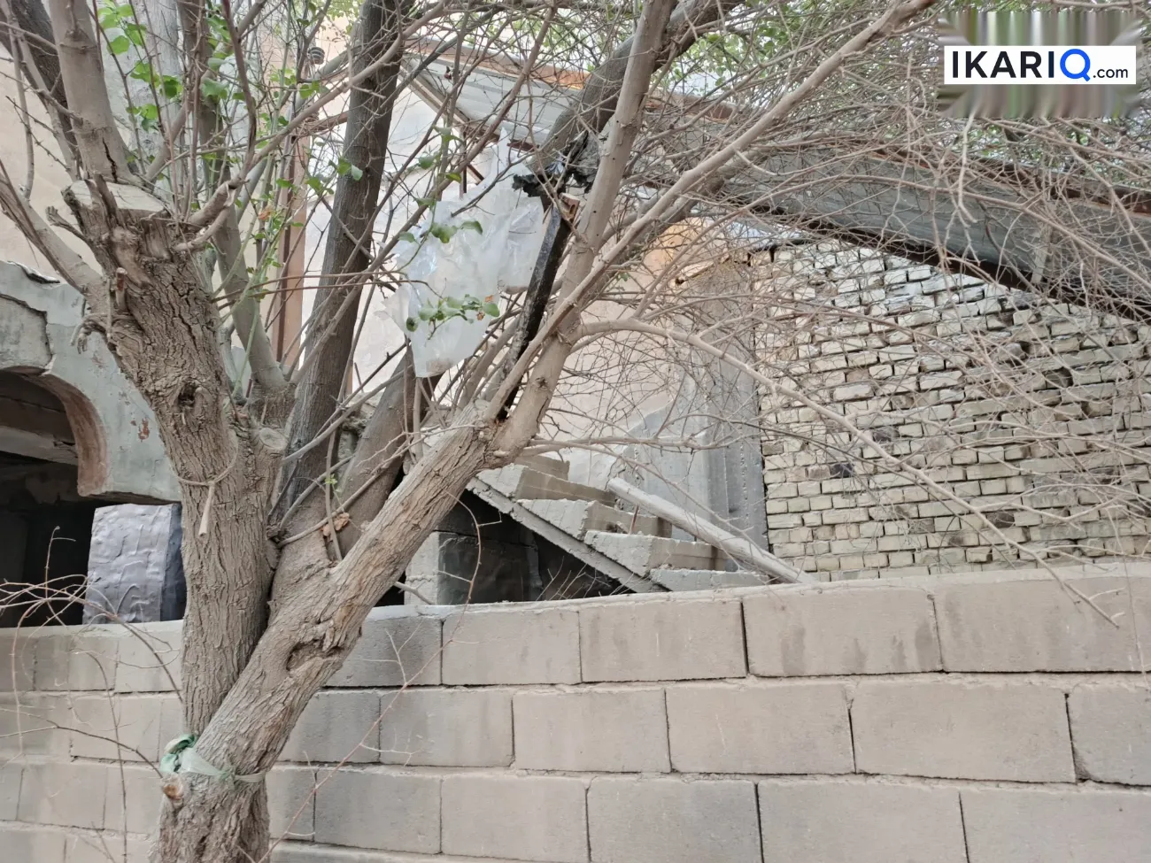 أرض للبيع في الزبير - 250 م² / 300,000,000 IQD — صورة 16