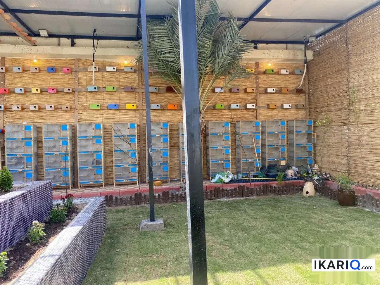 مزرعة للبيع في ابوغريب - 2500 م² / 870,072,500 IQD — صورة 6