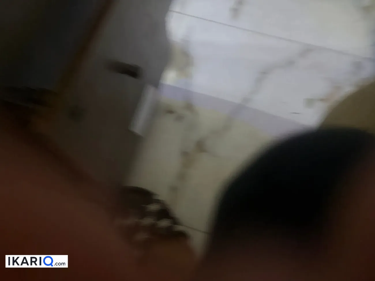 مزرعة للبيع في الجزيره - 13000 م² / 210,000,000 IQD — صورة 7