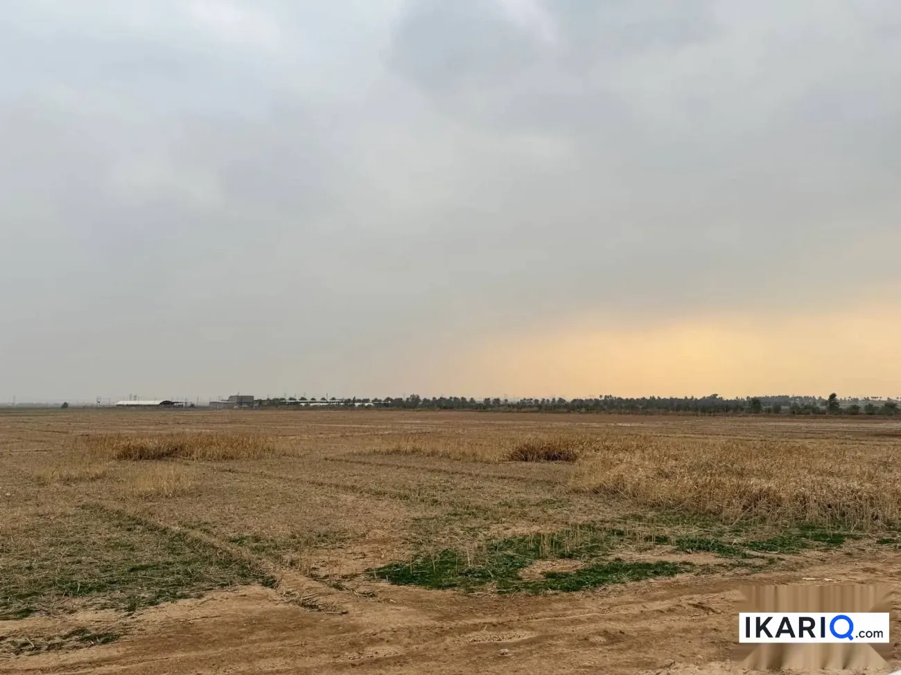أرض للبيع في بوب الشام - 12500 م² / 55,000,000 IQD