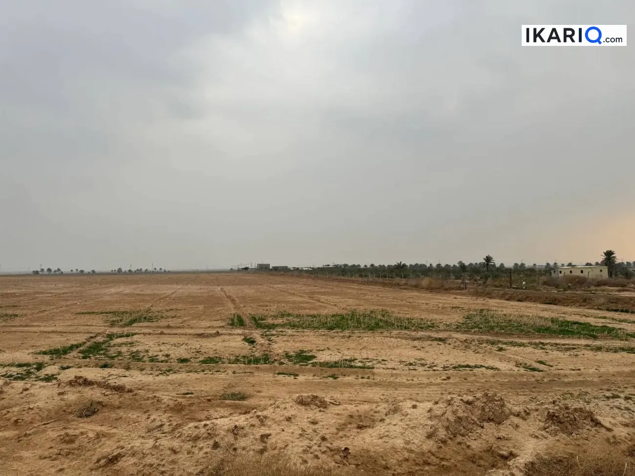 أرض للبيع في بوب الشام - 12500 م² / 55,000,000 IQD — صورة 2