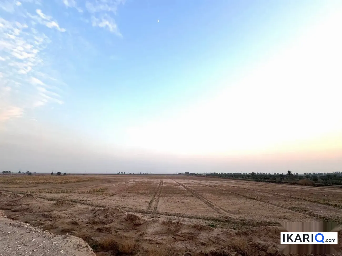 أرض للبيع في بوب الشام - 12500 م² / 55,000,000 IQD — صورة 3