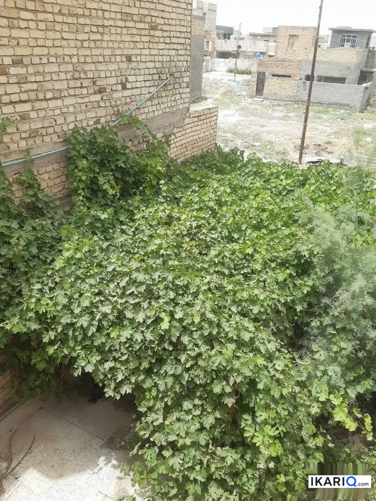 دار للبيع في سبع البور - 120 م² / 30,000,000 IQD — صورة 8