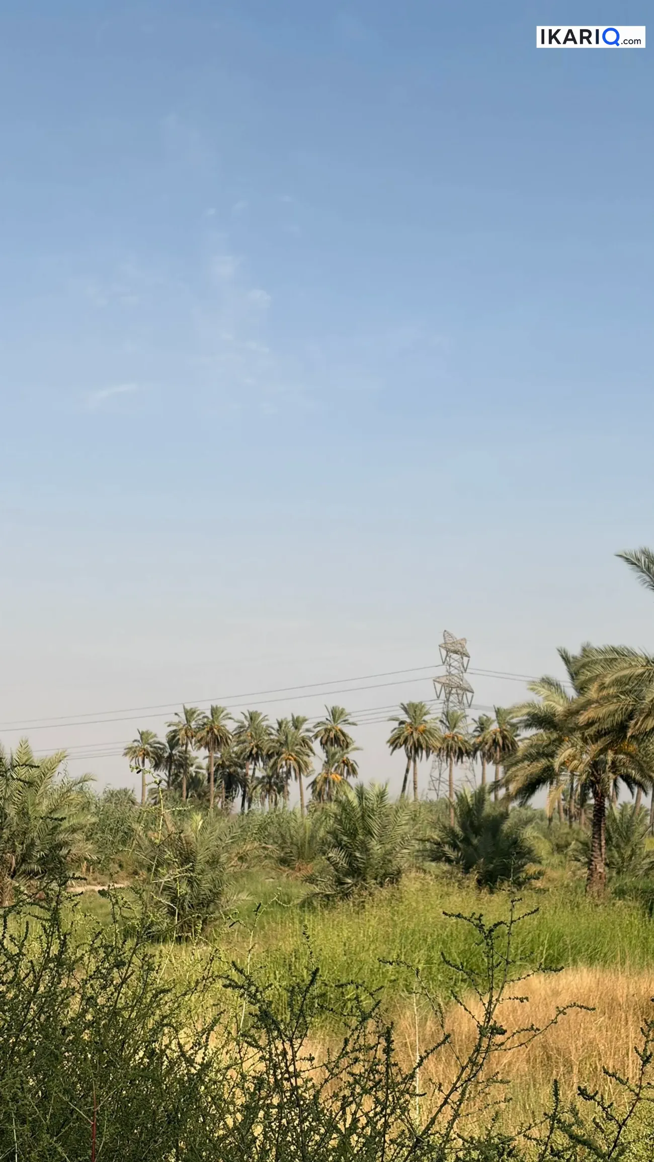 أرض للبيع في واسط - 75000 م² / 3,000,000,000 IQD — صورة 2