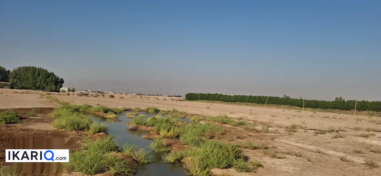 أرض للبيع في الزبير - 50000 م² / 6,000,000 IQD — صورة 2