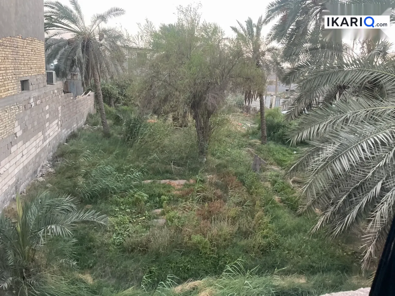 مزرعة للبيع في السراجي - 1800 م² / 60,000,000 IQD — صورة 7