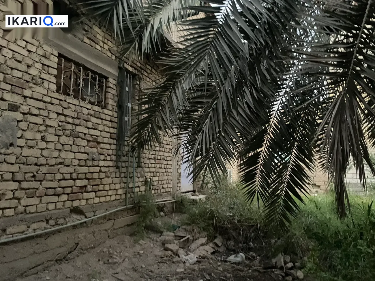 مزرعة للبيع في السراجي - 1800 م² / 60,000,000 IQD — صورة 2