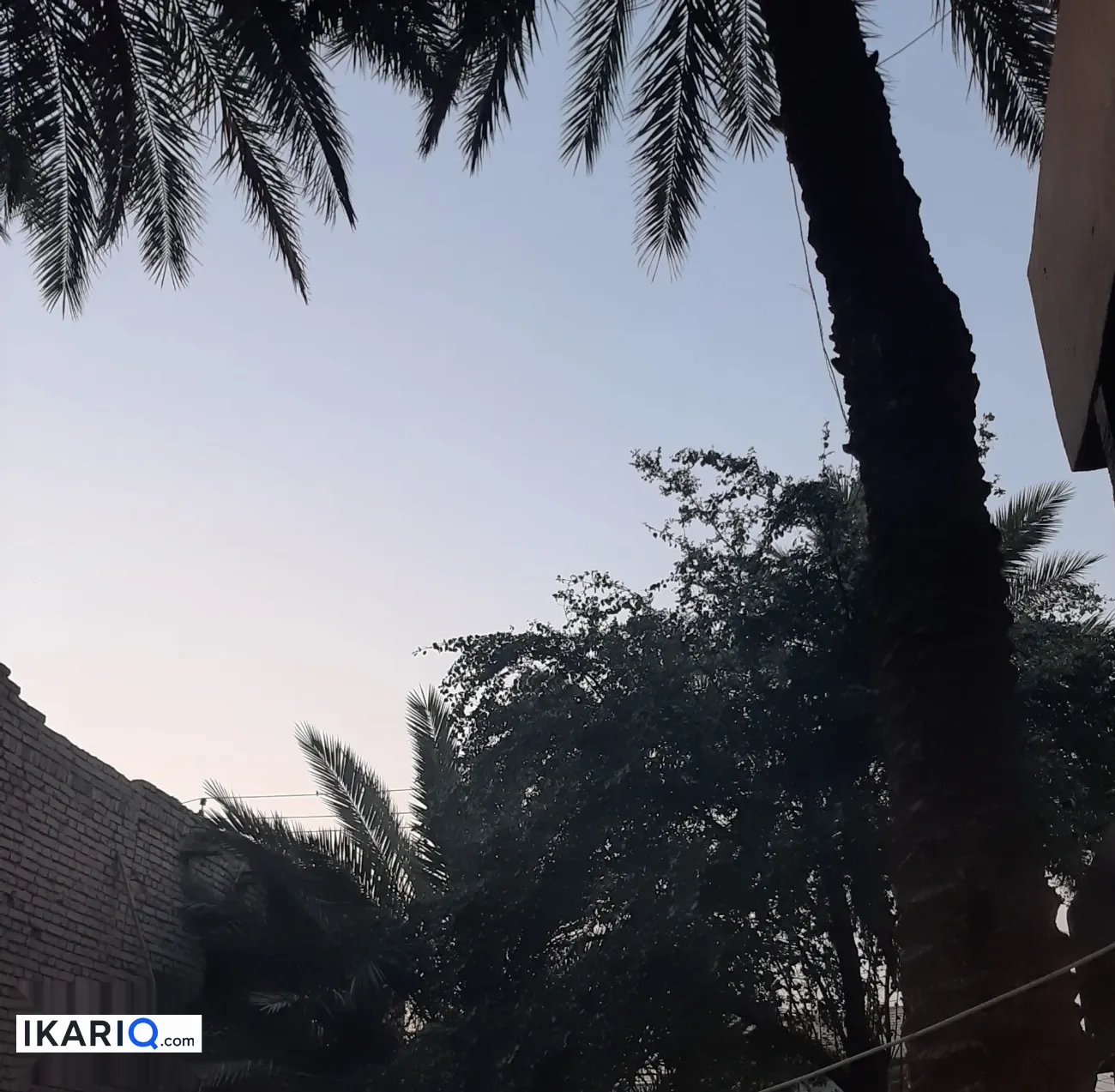 أرض للبيع في جسر ديالى - 495 م² / 1,650,000 IQD — صورة 10