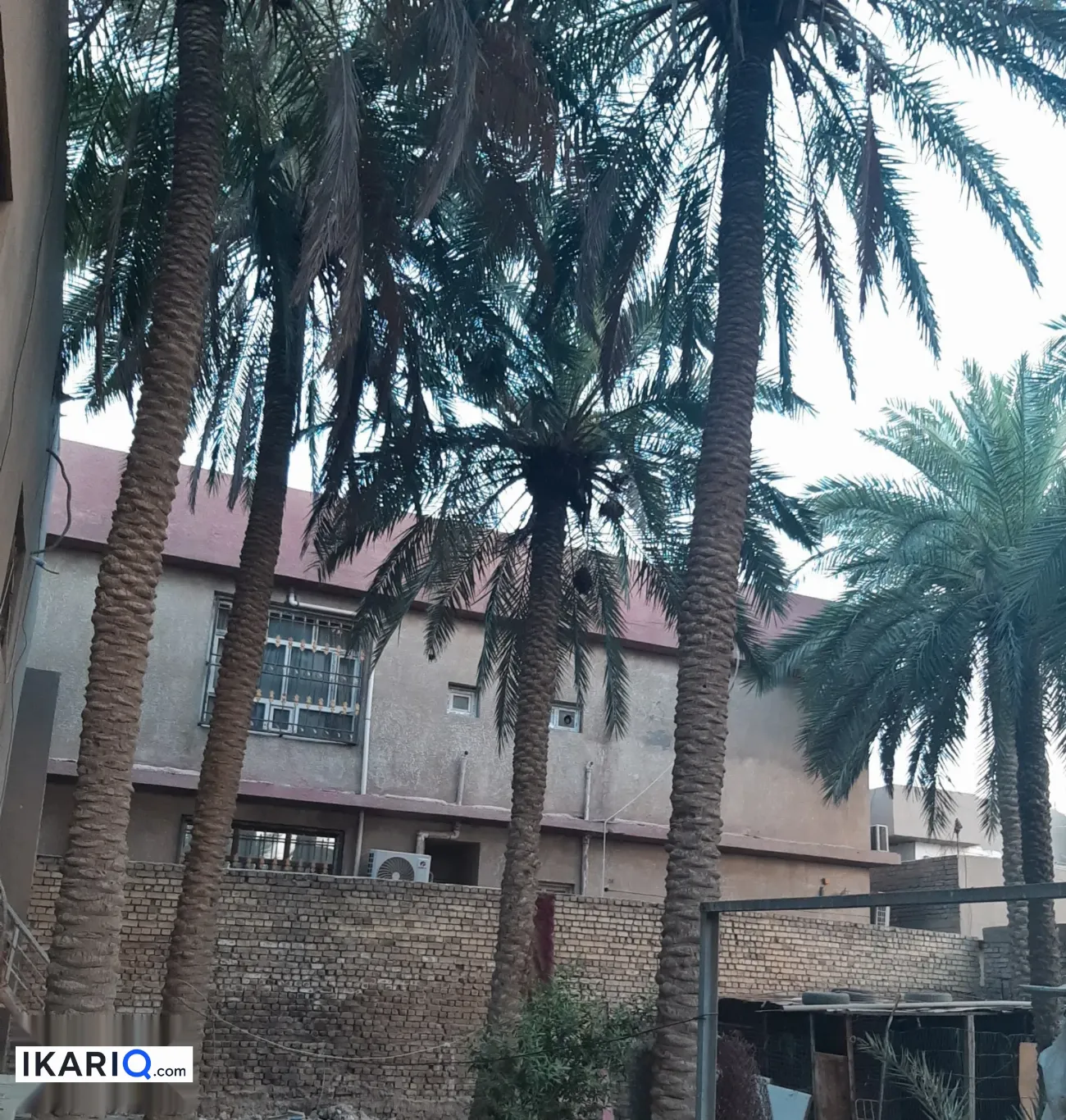 أرض للبيع في جسر ديالى - 495 م² / 1,650,000 IQD — صورة 11