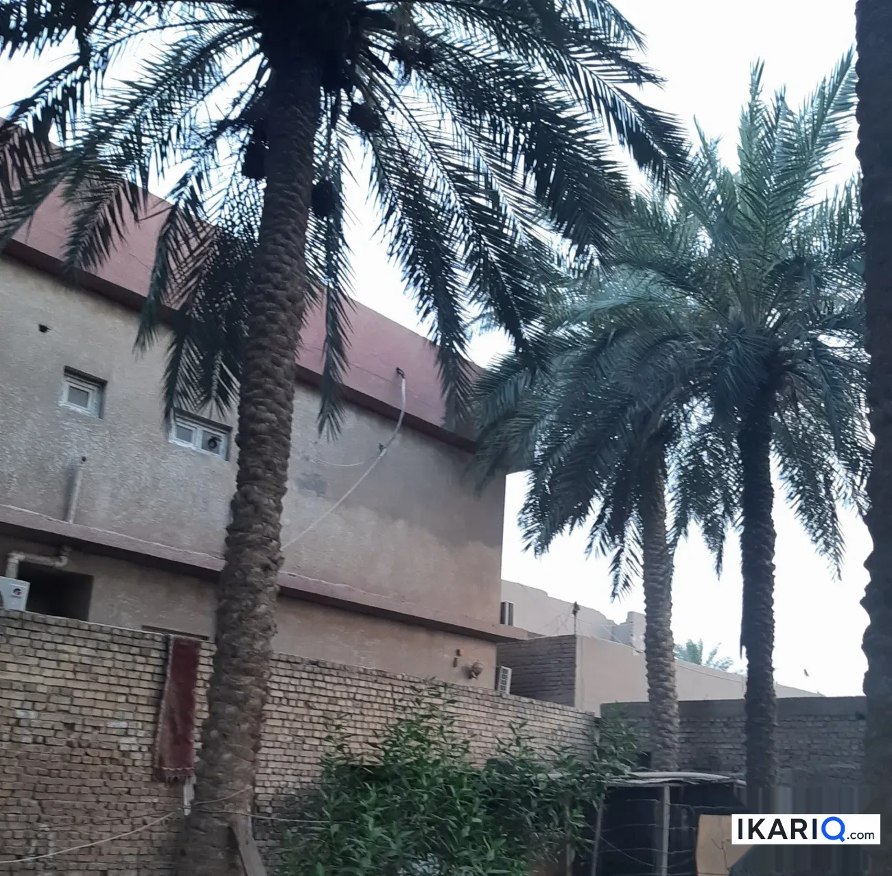 أرض للبيع في جسر ديالى - 495 م² / 1,650,000 IQD — صورة 9