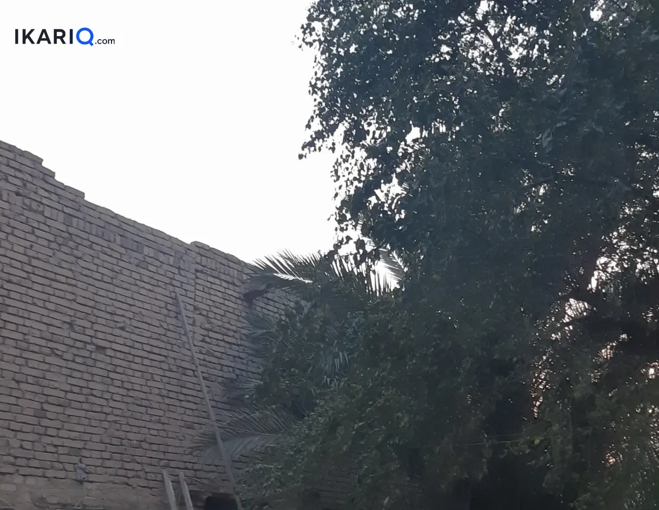 أرض للبيع في جسر ديالى - 495 م² / 1,650,000 IQD — صورة 15