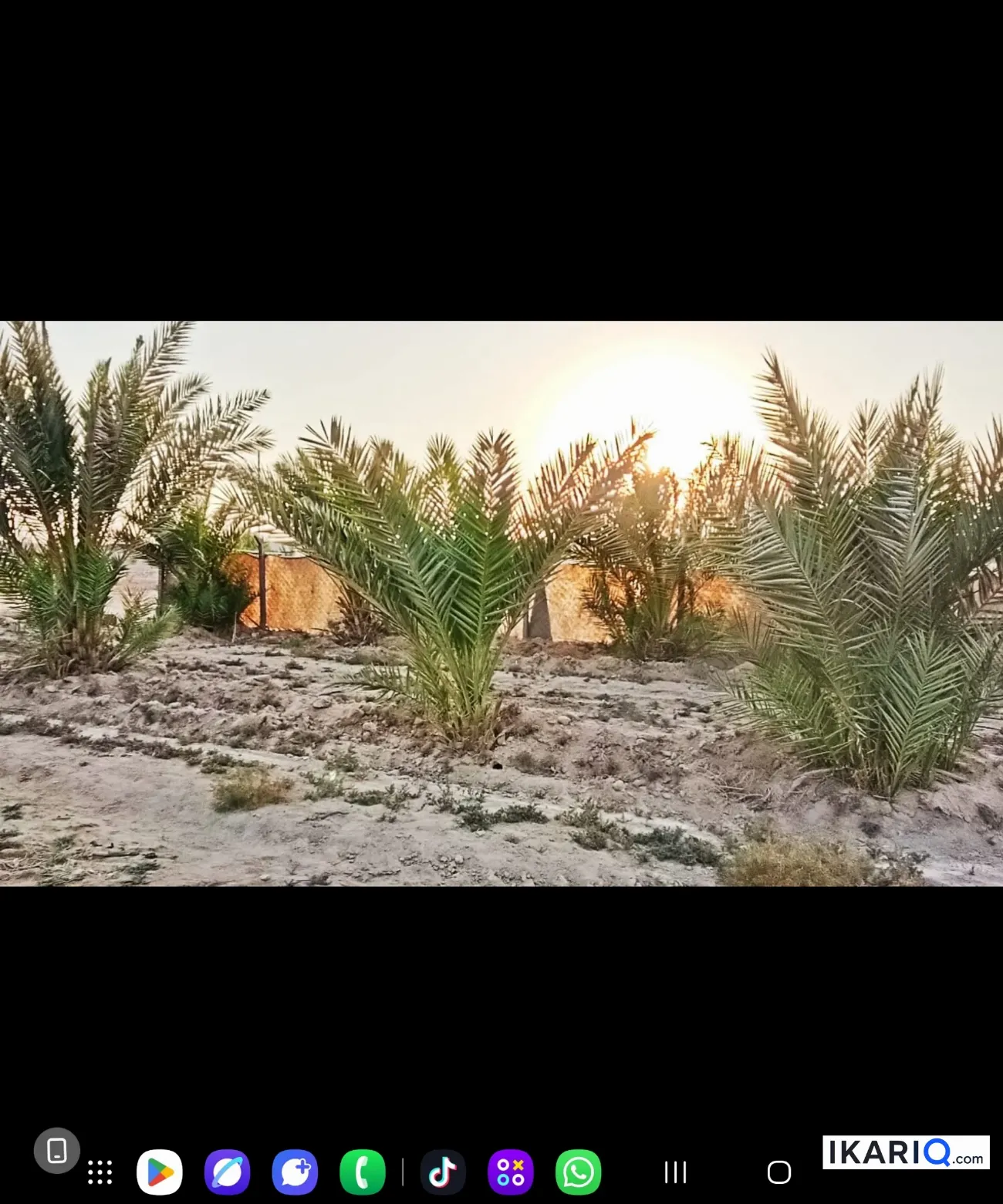 أرض للبيع في الكوفة - 1240 م² / 80,000,000 IQD