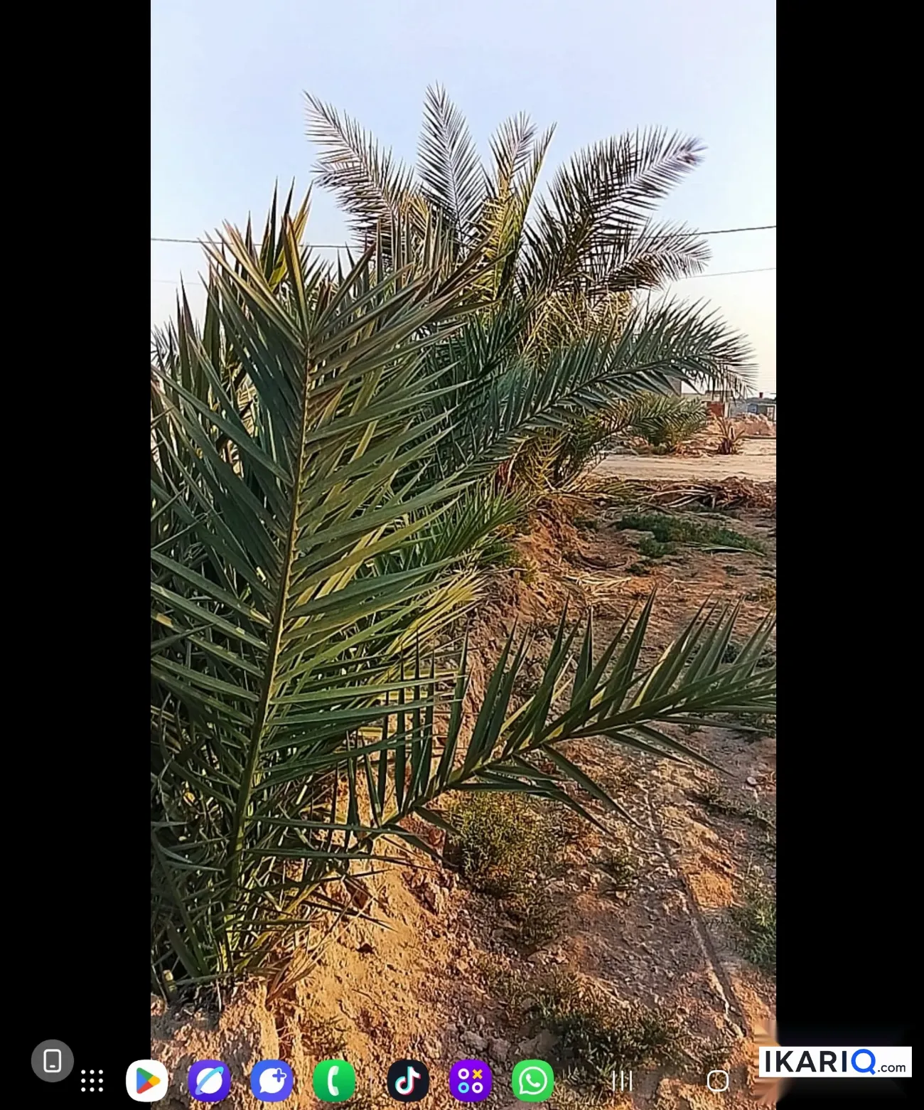 أرض للبيع في الكوفة - 1240 م² / 80,000,000 IQD — صورة 3