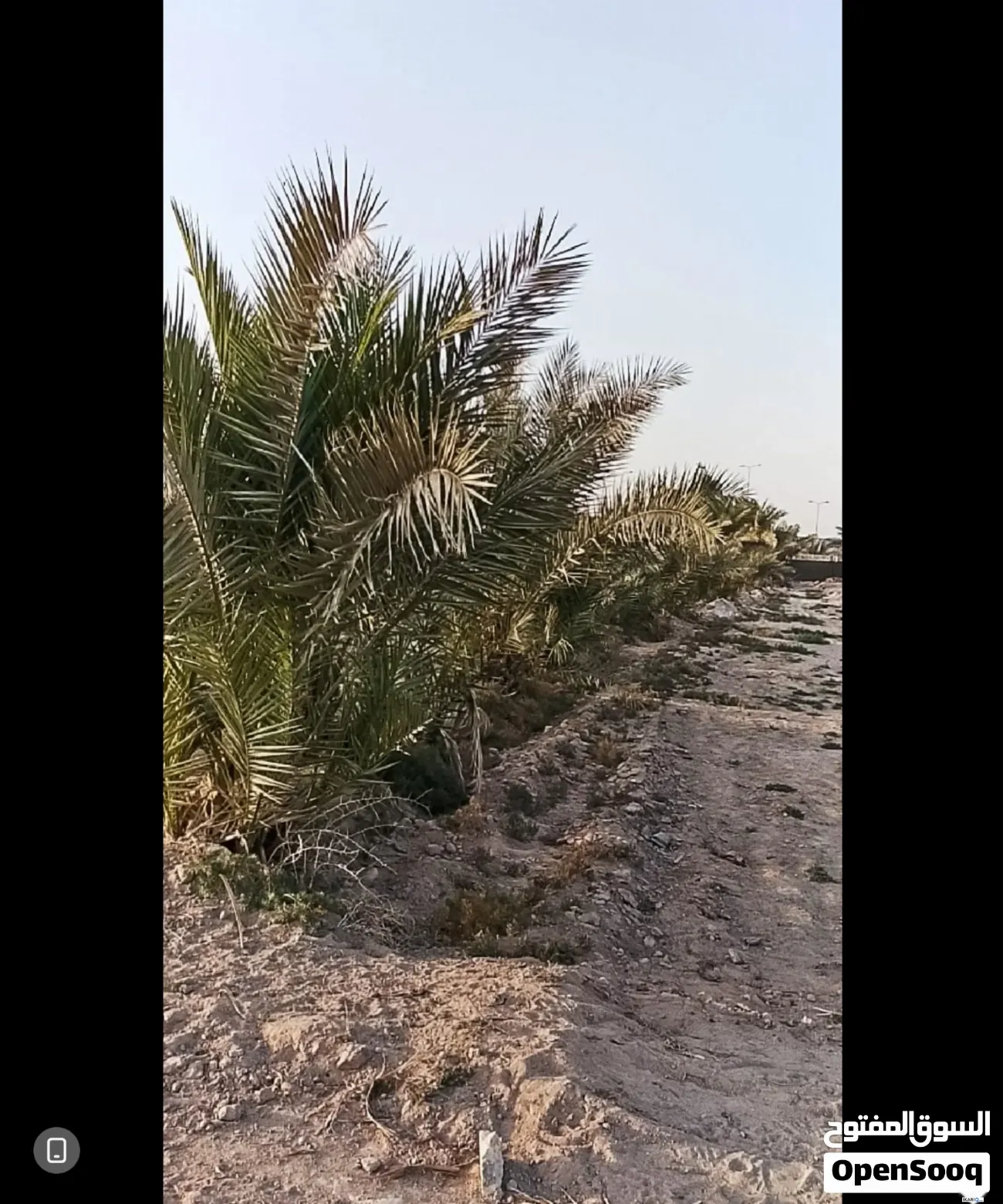 أرض للبيع في الكوفة - 1240 م² / 80,000,000 IQD — صورة 7