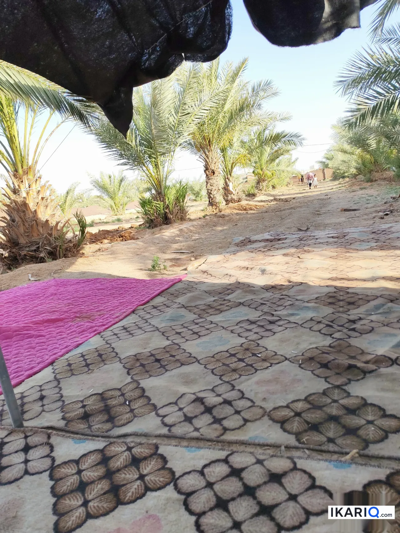 أرض للبيع في الكوفة - 5400000 م² / 80,000,000 IQD — صورة 8