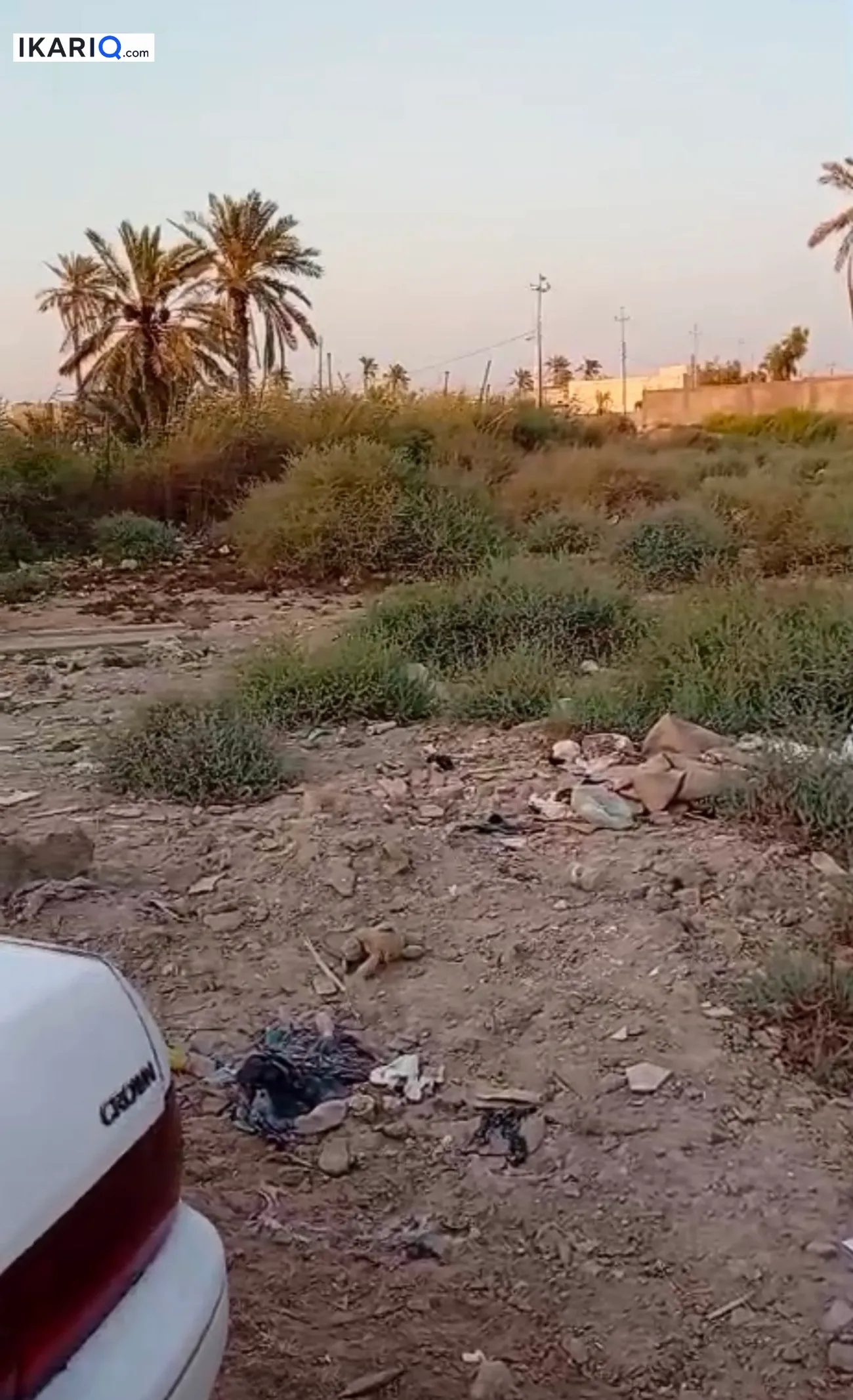 أرض للبيع في الجزيره - 660 م² / 105,000,000 IQD — صورة 3
