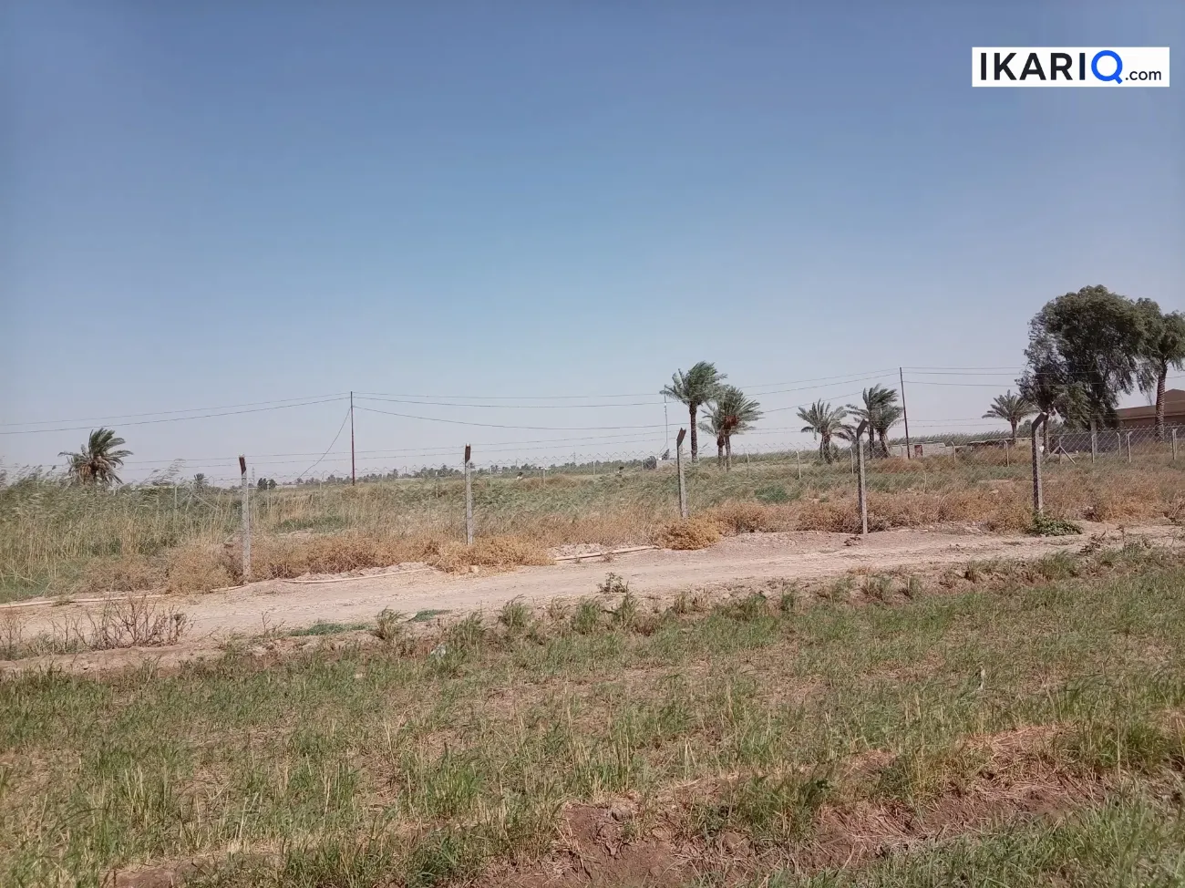 أرض للبيع في الرصافة - 2500 م² / 53,000,000 IQD