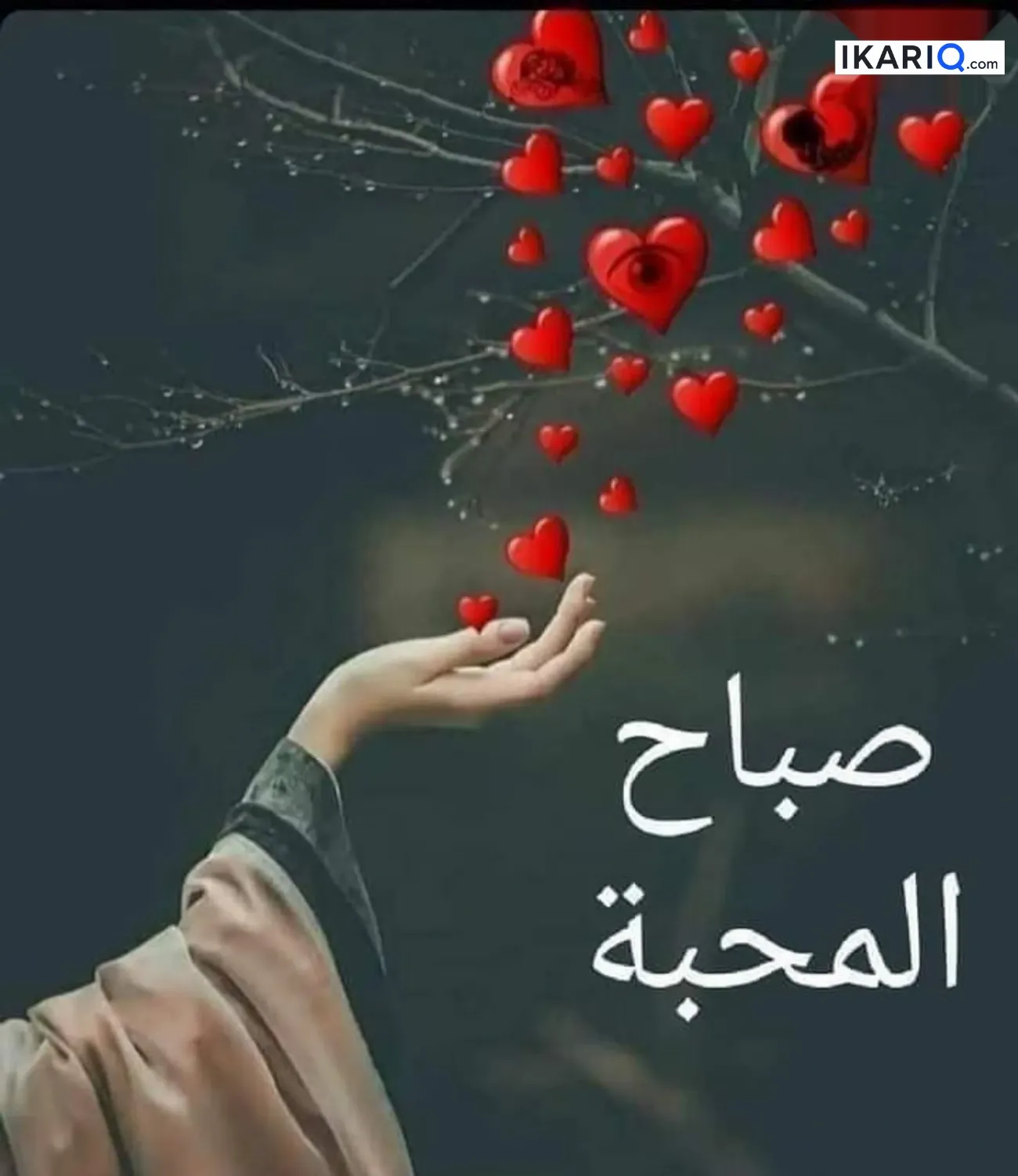 محل للبيع في الشيخ عمر - 3066 م² / 7,665,000,000 IQD — صورة 3