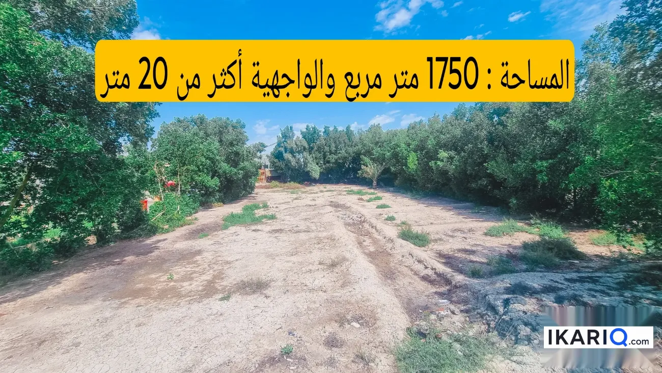 أرض للبيع في ابي الخصيب - 1750 م² / 125,000,000 IQD