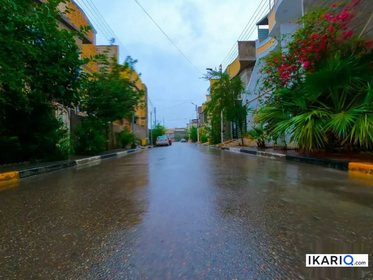 أرض للبيع في ياسين خريبط - 250 م² / 600,000,000 IQD — صورة 4