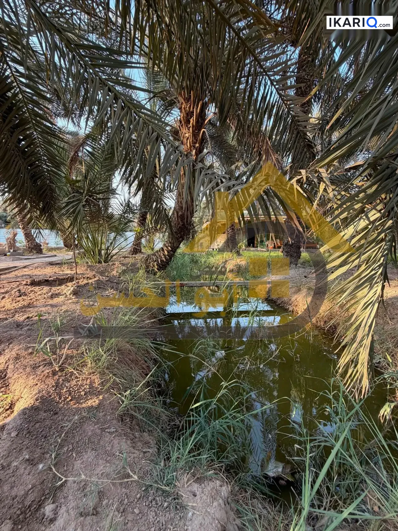 أرض للبيع في ابي الخصيب - 2450 م² / 1,500,000 IQD — صورة 8