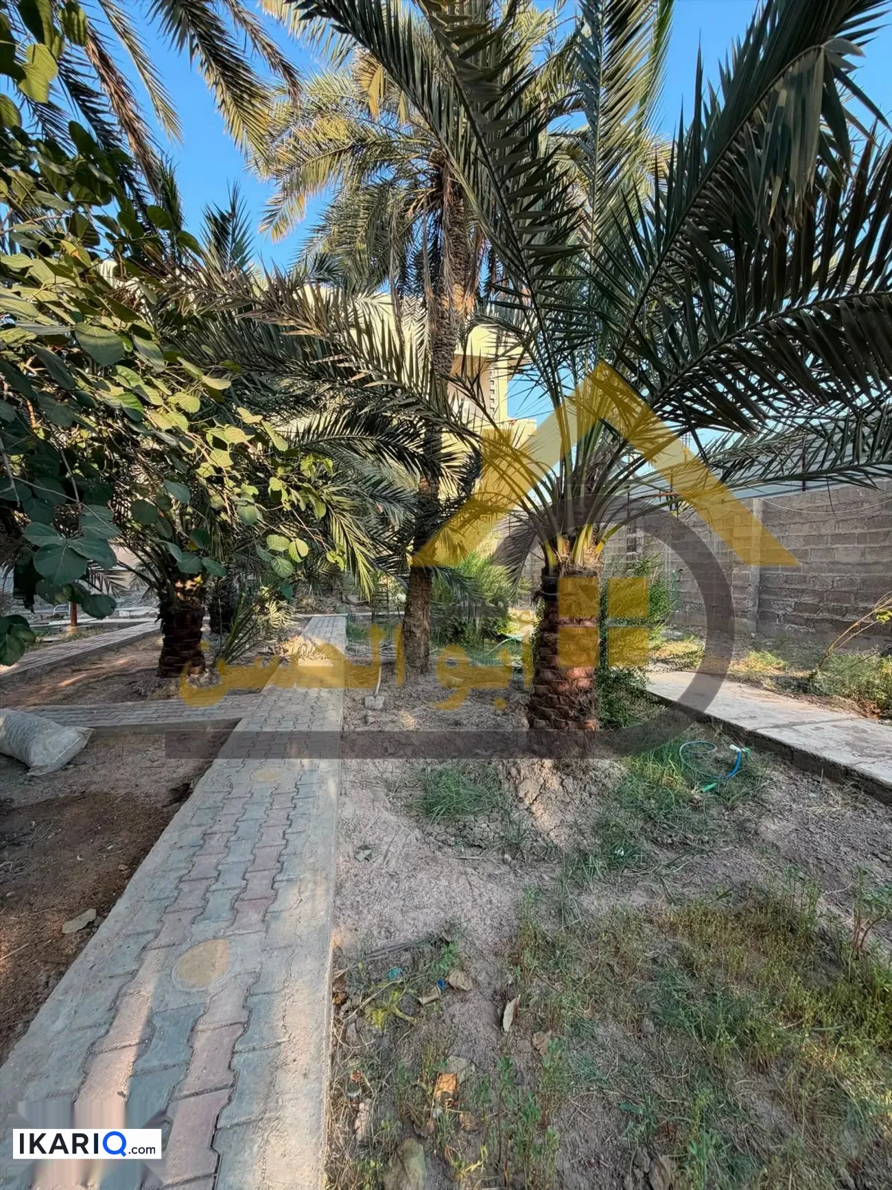 أرض للبيع في ابي الخصيب - 2450 م² / 1,500,000 IQD — صورة 9