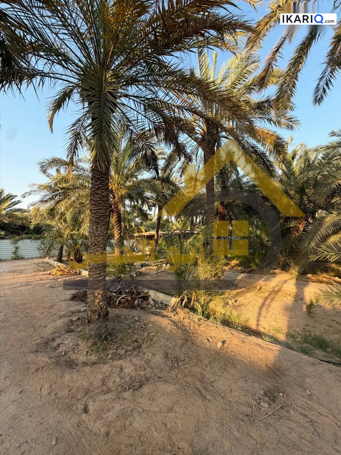 أرض للبيع في ابي الخصيب - 2450 م² / 1,500,000 IQD — صورة 2
