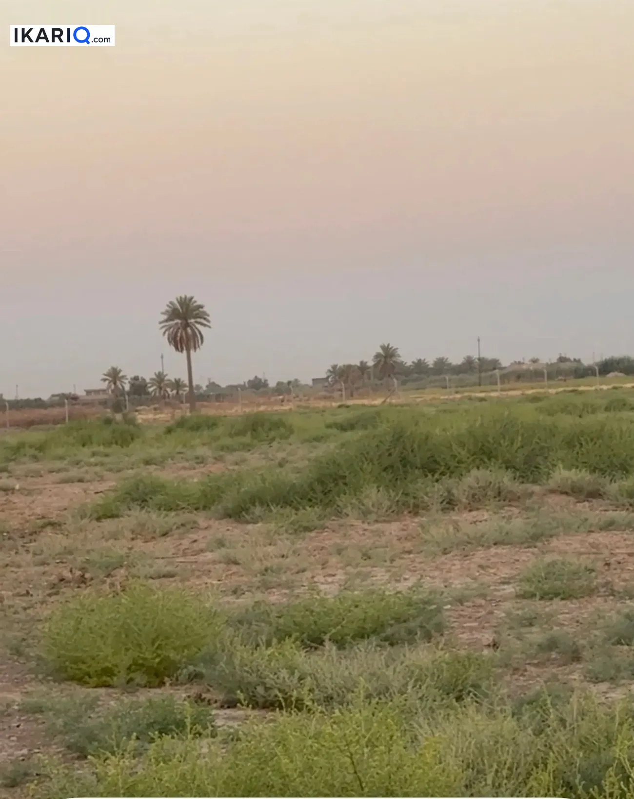 أرض للبيع في بغداد - 22000000 م² / 195,000,000 IQD — صورة 18