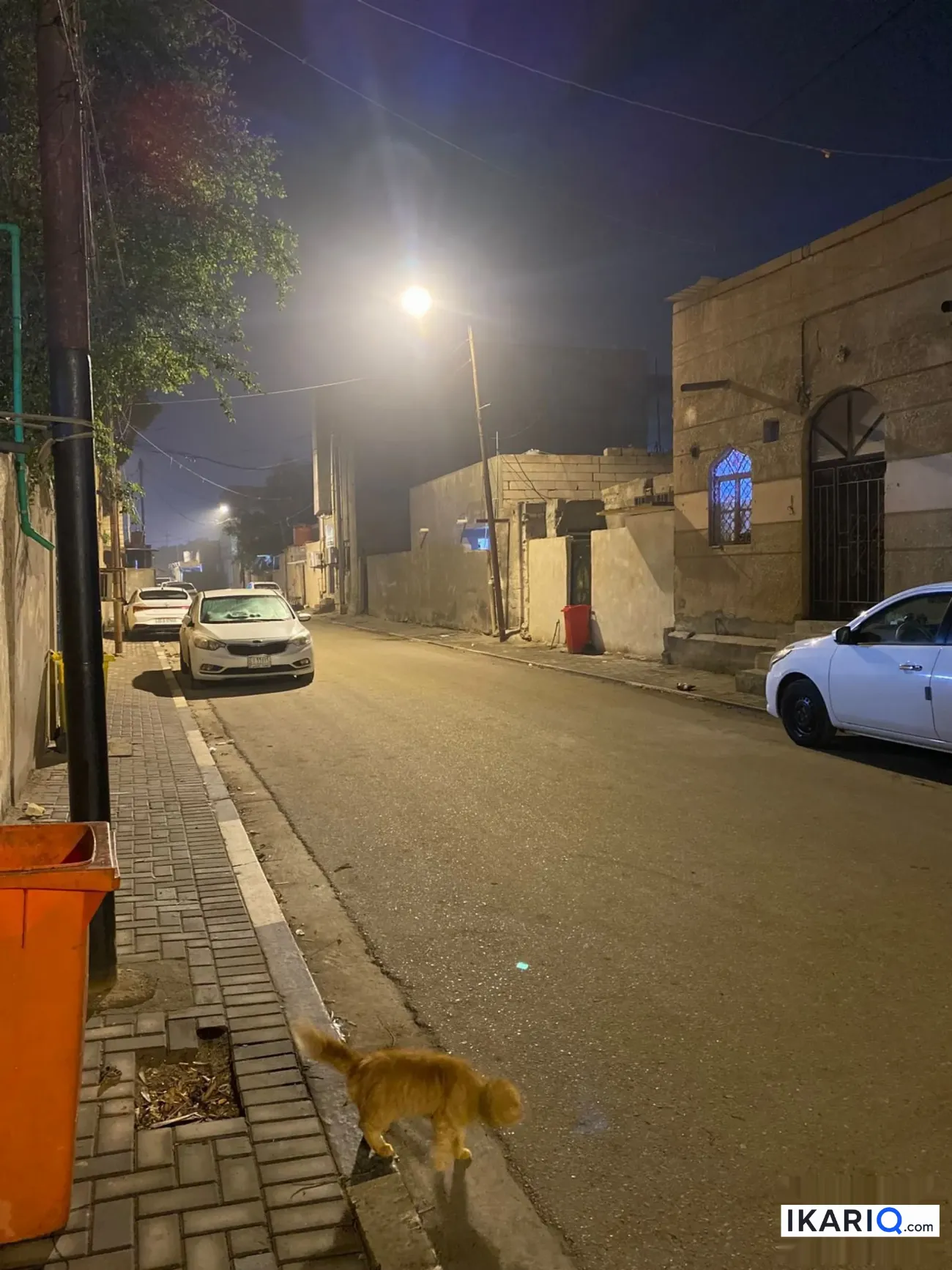دار للبيع في المعقل - 250 م² / 312,000,000 IQD — صورة 2