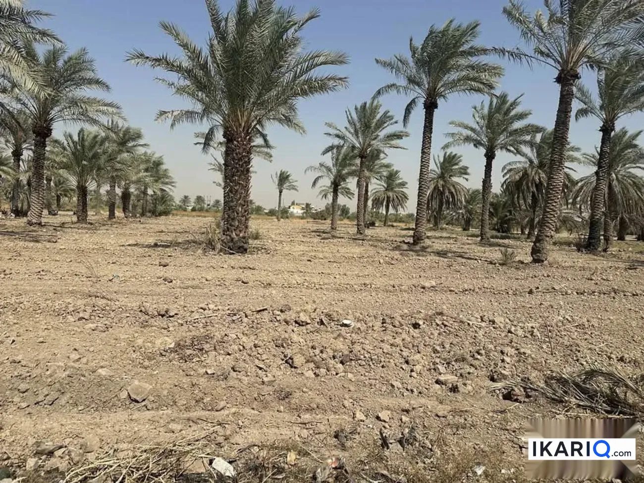 أرض للبيع في الدورة - 600 م² / 100,000,000 IQD — صورة 6