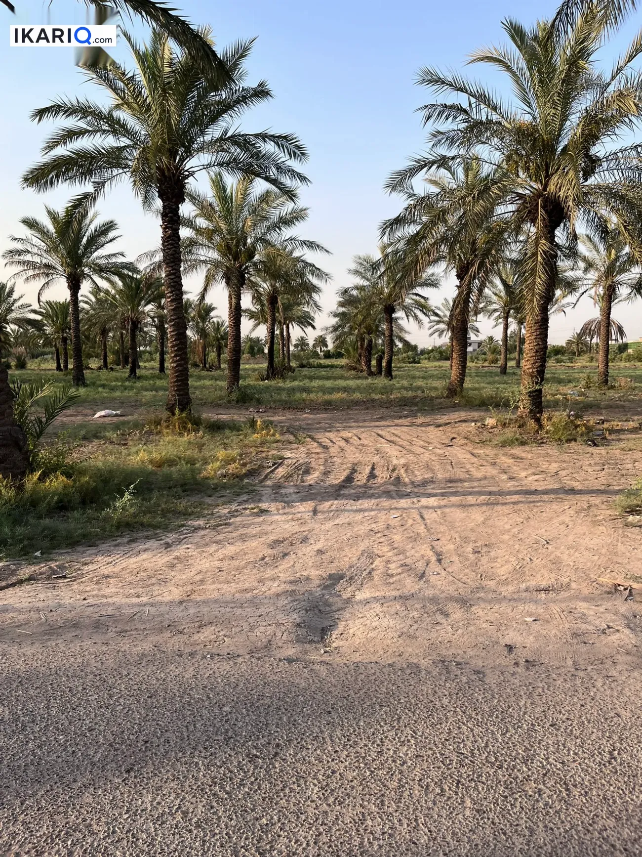أرض للبيع في الدورة - 600 م² / 100,000,000 IQD — صورة 2