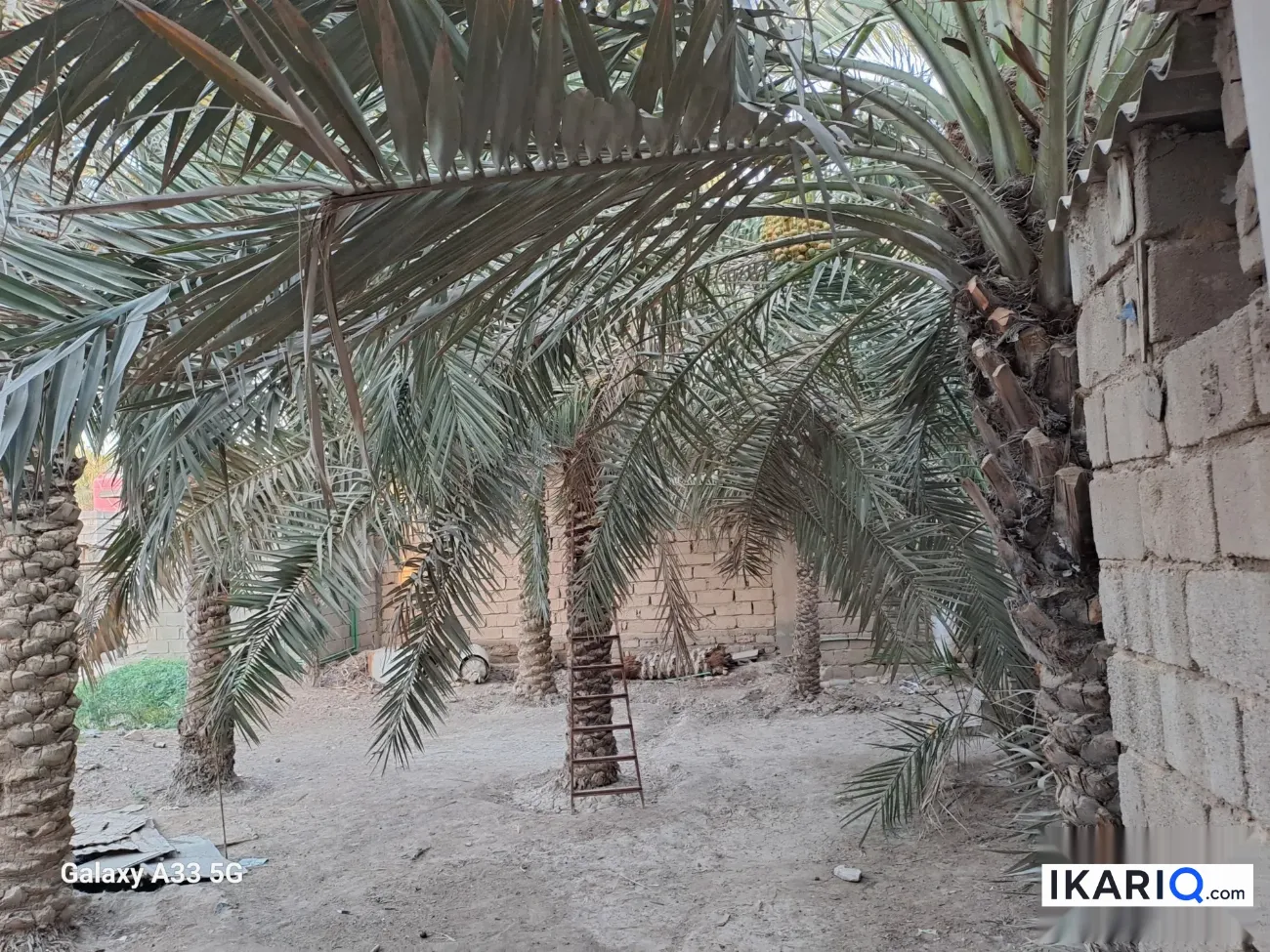 دار للبيع في ابي الخصيب - 160 م² / 270,000,000 IQD — صورة 2