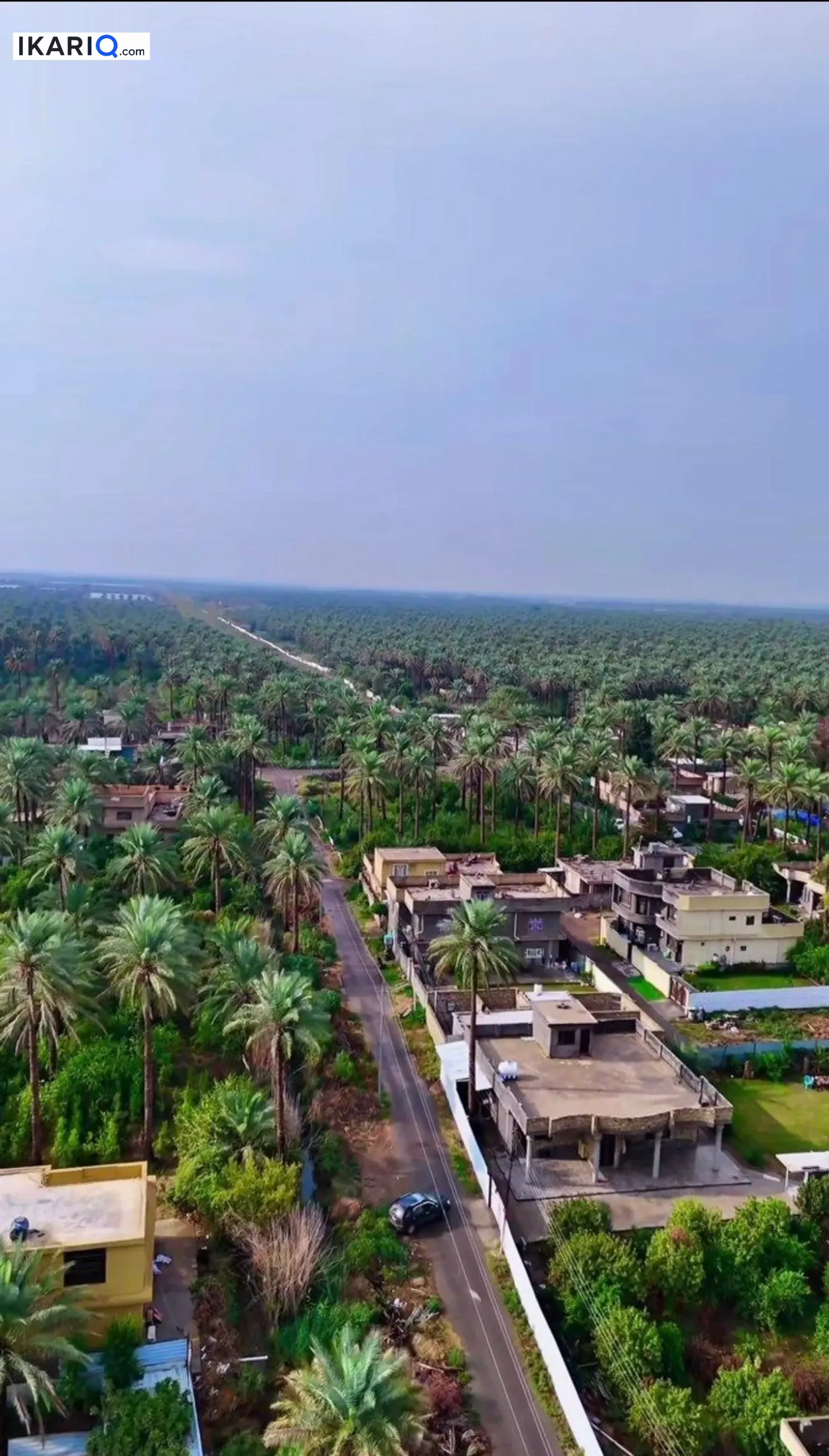 أرض للبيع في الطارمية - 62500 م² / 650,000,000 IQD — صورة 6