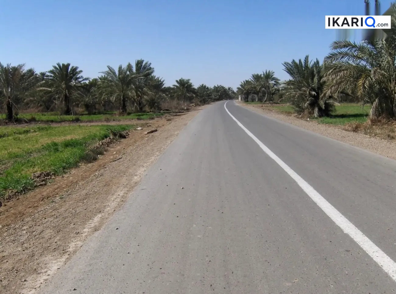 أرض للبيع في الطارمية - 62500 م² / 650,000,000 IQD — صورة 4