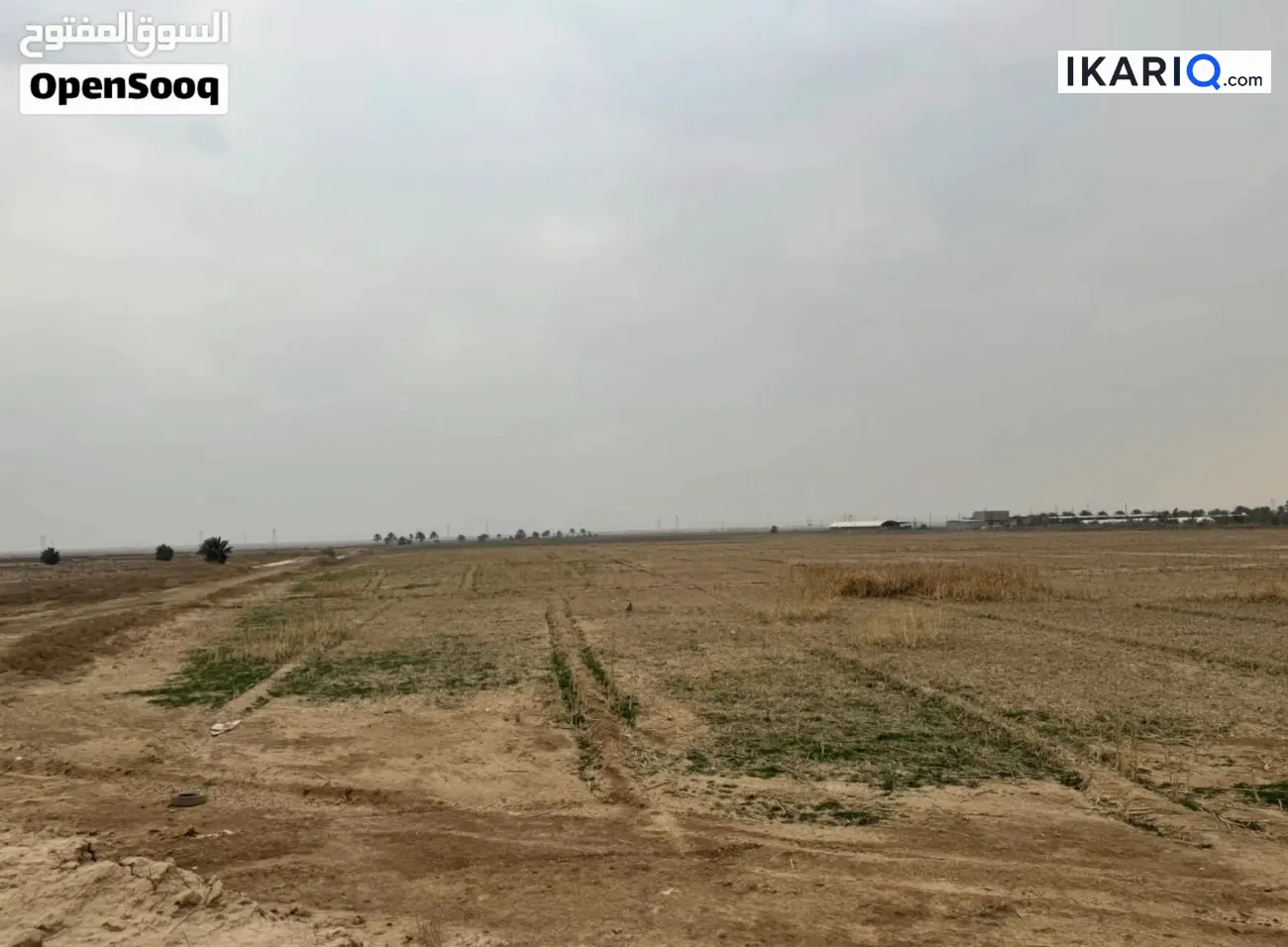 أرض للبيع في الطارمية - 62500 م² / 650,000,000 IQD — صورة 3