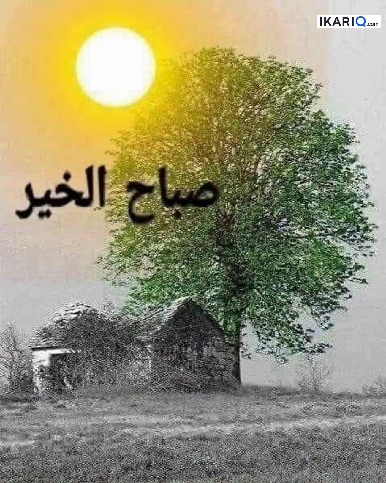دار للإيجار في الساعي - 220 م² / 1,100 IQD