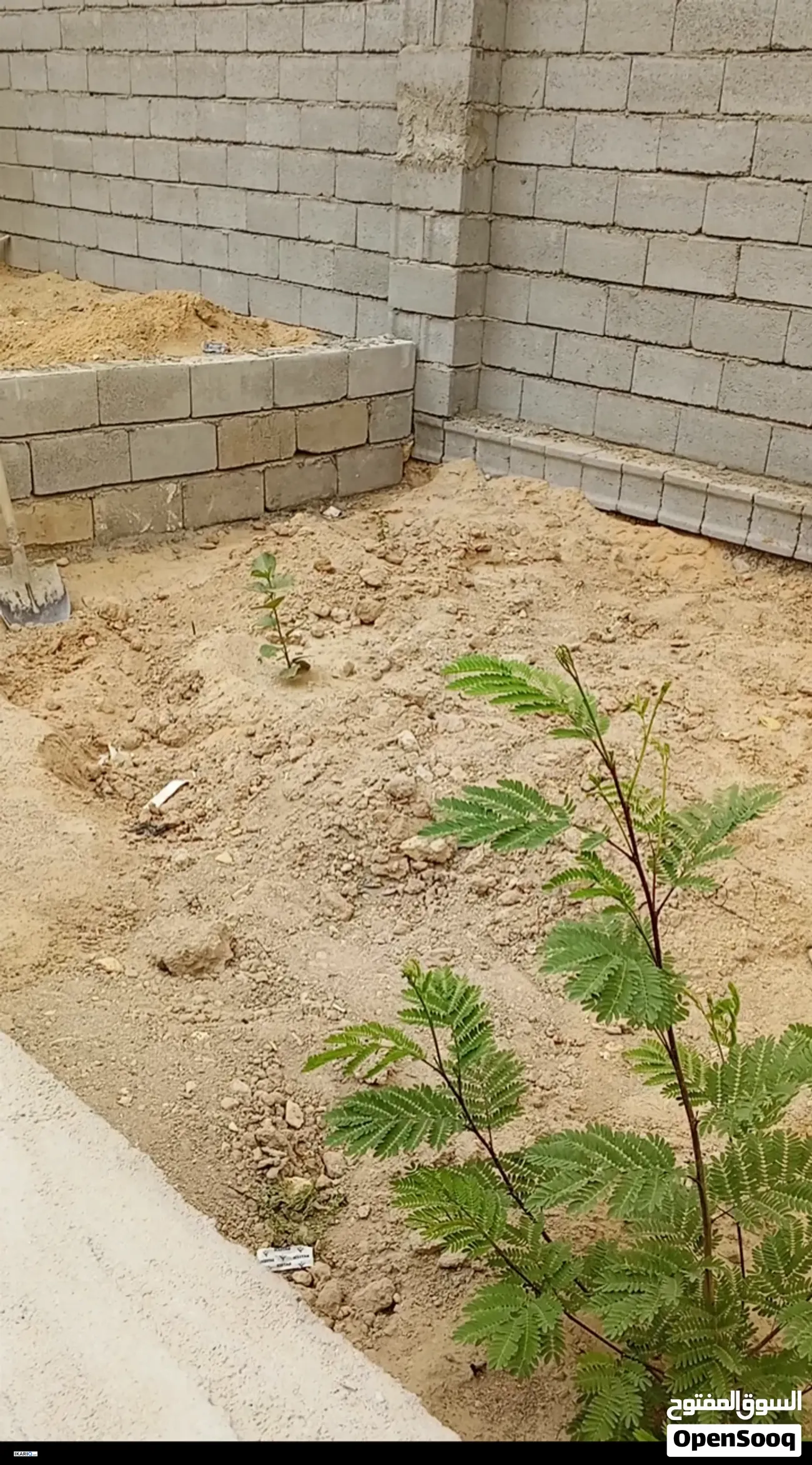 أرض للبيع في الزبير - 4000 م² / 46,000,000 IQD — صورة 11