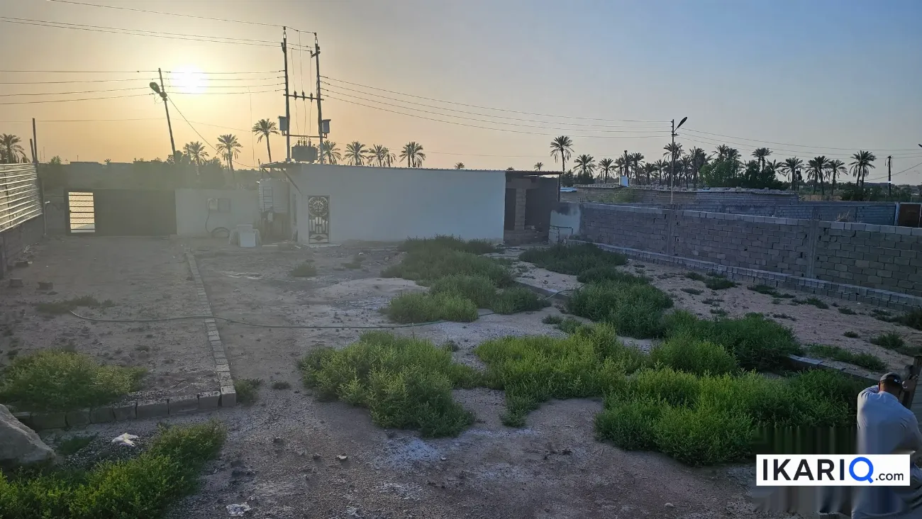 أرض للبيع في ابي الخصيب - 1400 م² / 90,000,000 IQD