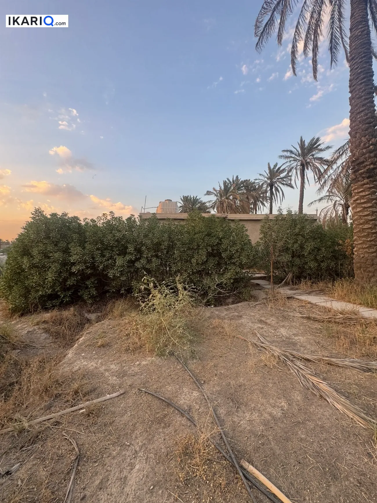 أرض للبيع في جسر ديالى - 5000 م² / 425,000,000 IQD — صورة 4
