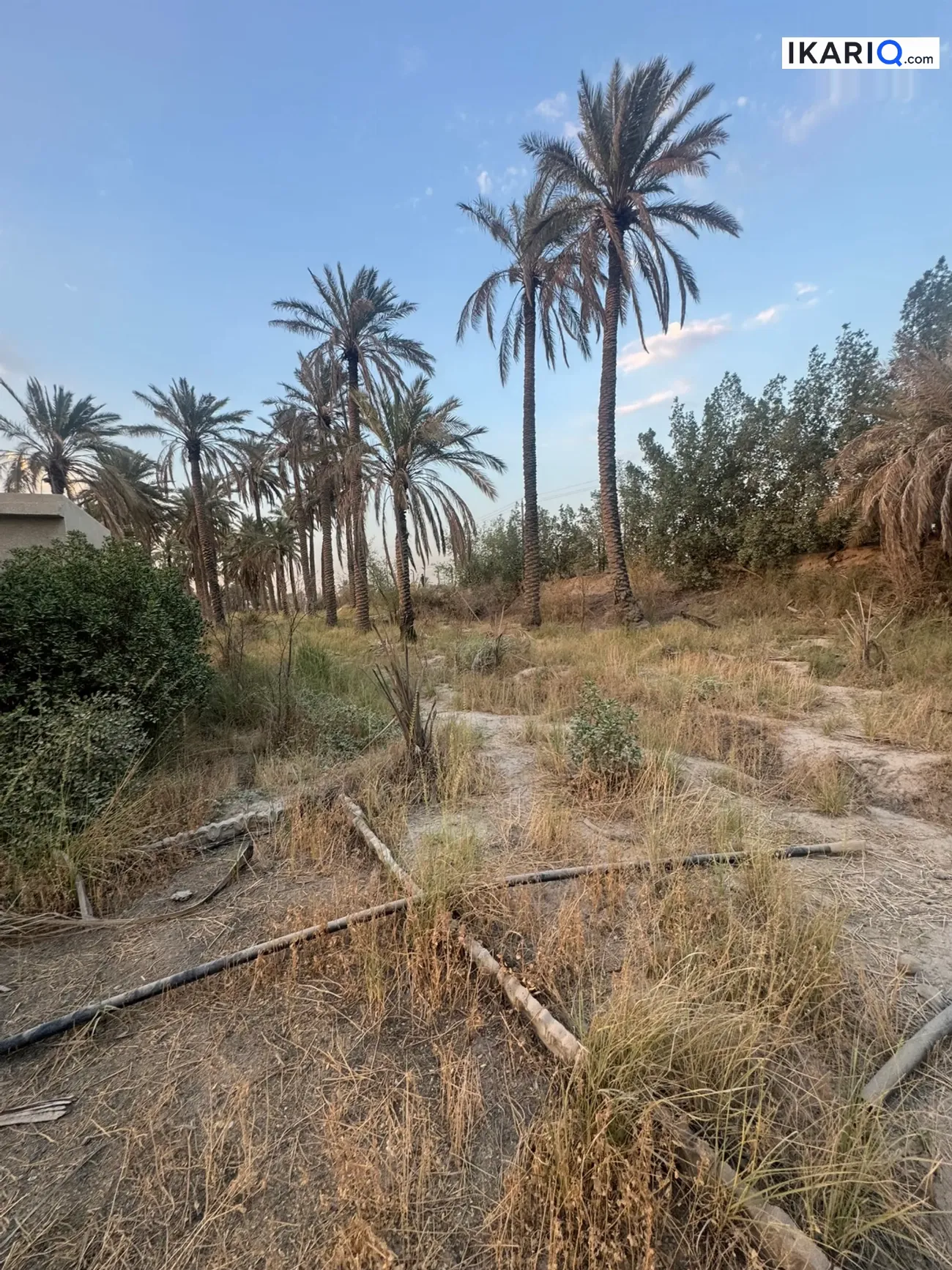 أرض للبيع في جسر ديالى - 5000 م² / 425,000,000 IQD — صورة 9
